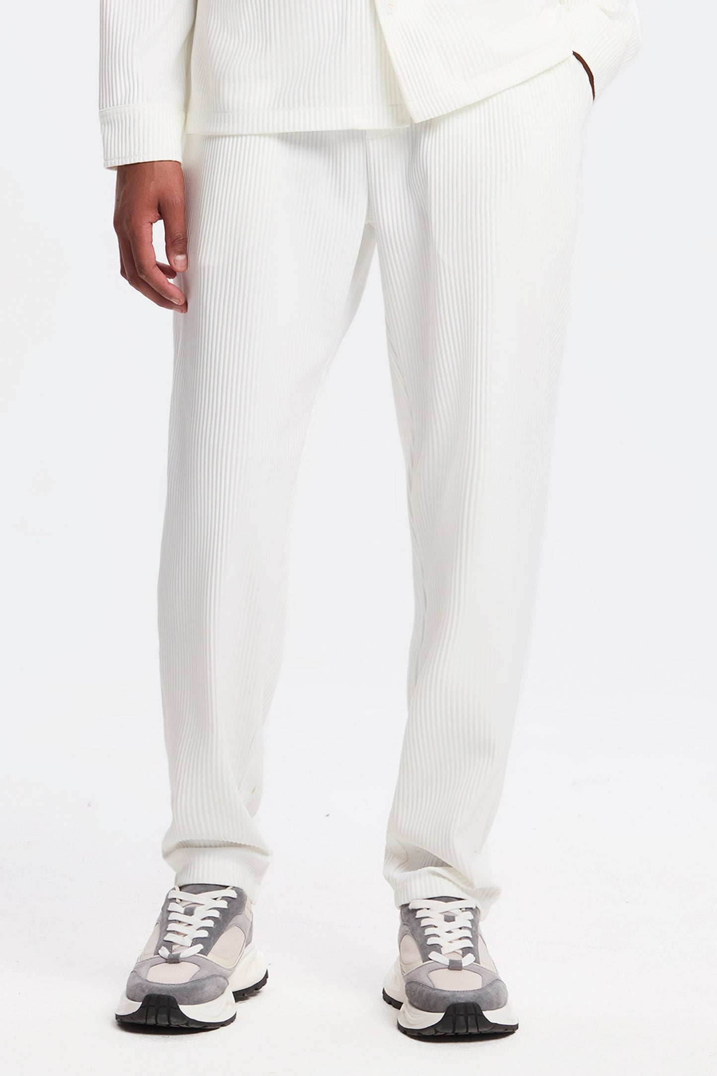 THE PLEATED TROUSERS